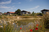 Holiday house in the dunes on the island Texel. Object nr. 731215.